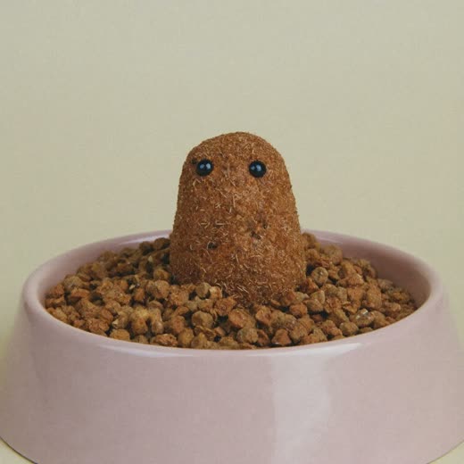Bowl of dry dog food